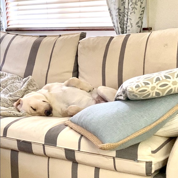 New sidekick trip to the lake .... - Picture 7 of 13